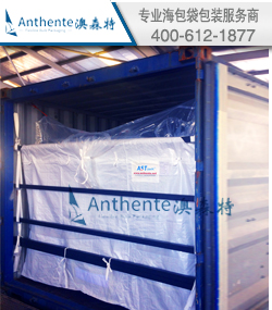 Bulk Liner For PTA Transportation And Packaging