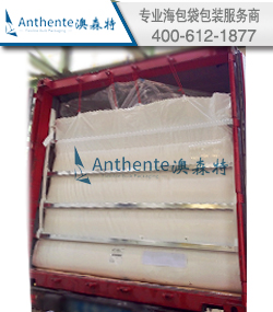 PBT Plastic/Resin SeaBulk Liner Solution And Service