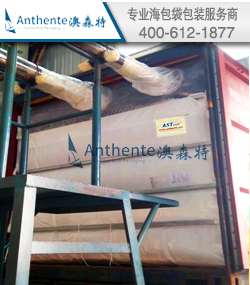 PET SeaBulk Liner Package Solution And Guiding