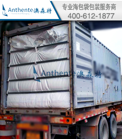 Nylon Resin Bulk Packaging Solution--Sea Bulk Liner