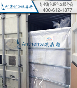 PC polymer Bulk Packaging Solution--Container Liner