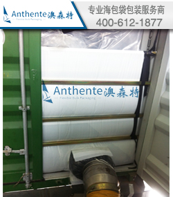 PE Resin PackagingTransportation--SeaBulk Liner