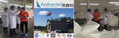 Taiwan Customer Visiting And Audit Anthente Plant